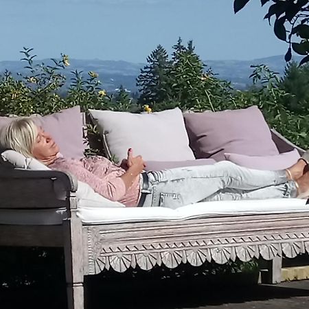 Bed and Breakfast Relais St Jacques - Roanne Saint-Haon-le-Chatel Екстер'єр фото