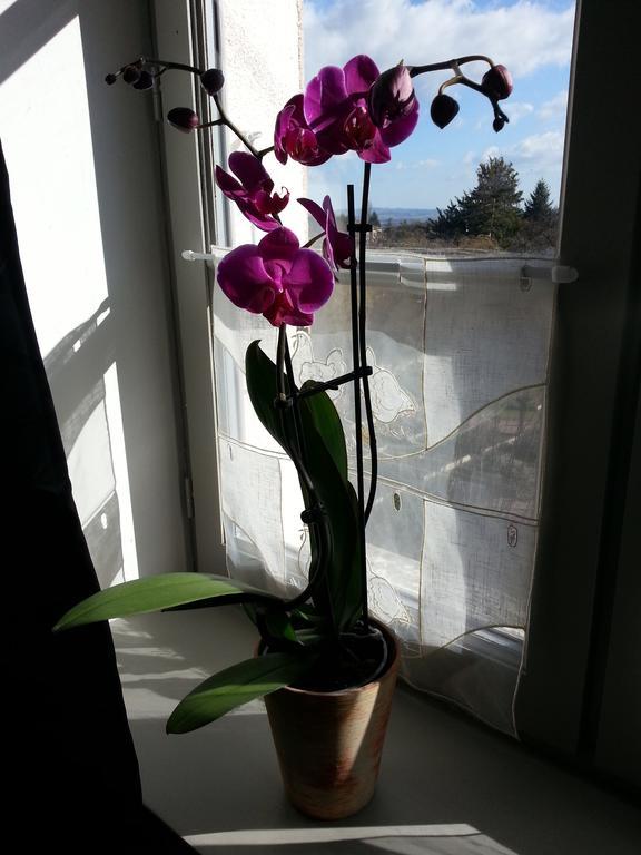 Bed and Breakfast Relais St Jacques - Roanne Saint-Haon-le-Chatel Екстер'єр фото